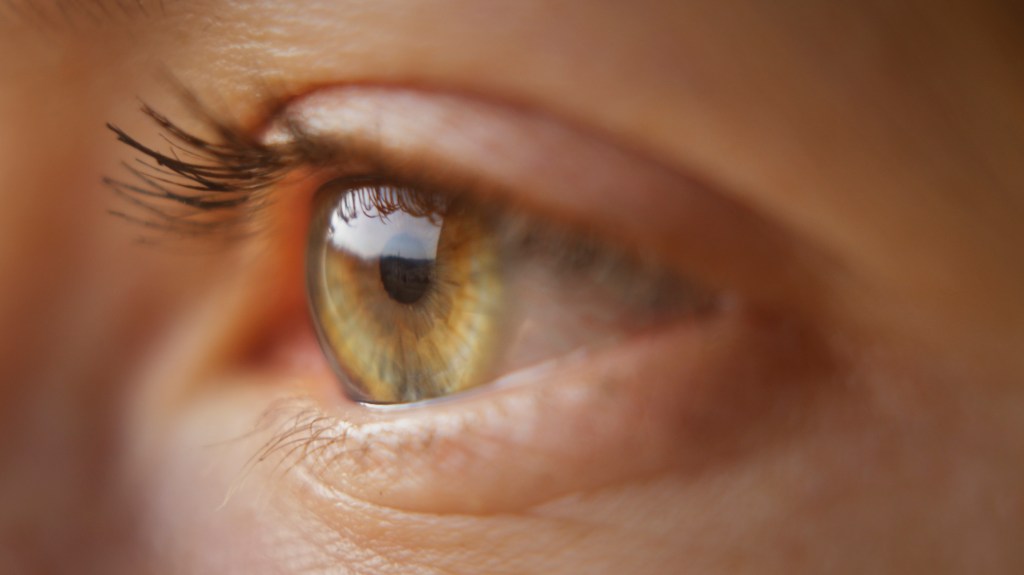 Eye eyelashes season